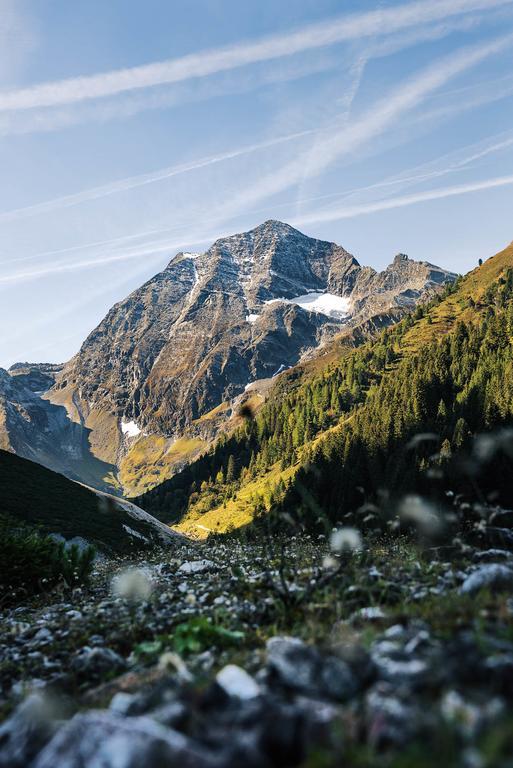 Alpenwellnesshotel Gasteigerhof Hotel 4*